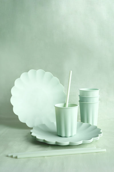Plastik Strohhalme, salbei/mint (12 Stück)